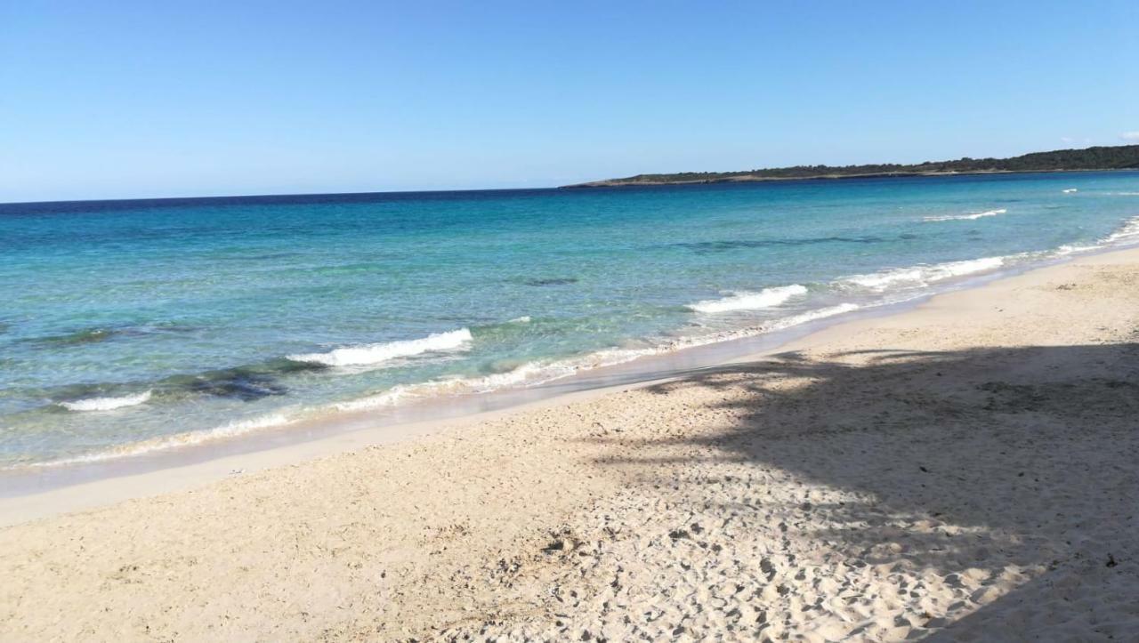 Meerblick Apartment Sabina Cala Millor  Dış mekan fotoğraf